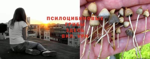 ГАЛЛЮЦИНОГЕННЫЕ ГРИБЫ Остров