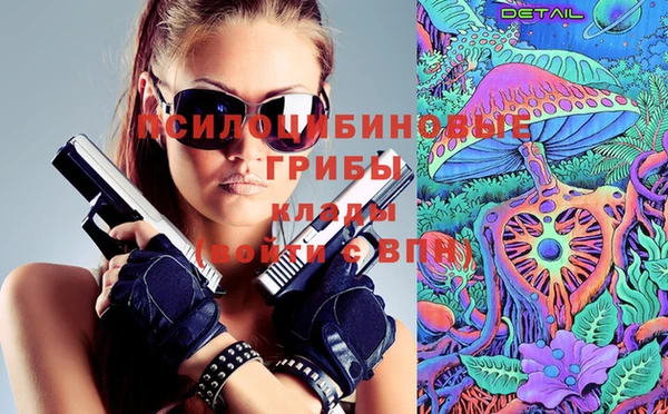 не бодяженный Аркадак